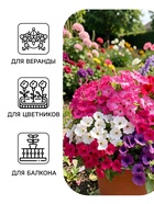 Семена цветов Петуния «Нуволари», полуампельная, смесь сортов, F1, 5 шт., Farao, «АЭЛИТА» - Фото 3