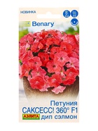 Семена цветов Петуния САКСЕСС! 360° F1 Дип Сэлмон  (драже в пробирке) Спецсерия Benary, Ц/П,7 шт. 10 - фото 61952876