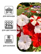 Семена цветов Петуния «Ягодный чизкейк», F1, смесь сортов, драже, С. Cerny, 10 шт. - Фото 3