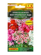 Семена цветов Примула «Моя прекрасная леди», смесь сортов, многолетник, Farao, «Золотая серия - Агрофирма АЭЛИТА», 7 шт. - Фото 1