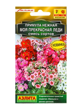 Семена цветов Примула «Моя прекрасная леди», смесь сортов, многолетник, Farao, «Золотая серия - Агрофирма АЭЛИТА», 7 шт. 10945872