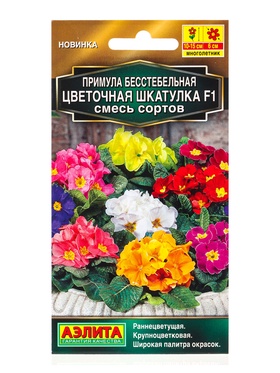 Семена цветов Примула Цветочная шкатулка F1, смесь сортов Мн Золотая серия, Ц/П,5 шт.