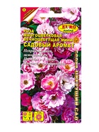 Семена цветов Роза Садовый аромат многоцветковая А/З Мн, Ц/П,0,03 г - фото 61952967