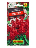 Семена цветов Сальвия Костер , Ц/П,0,1 г 10945889