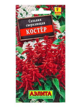 Семена цветов Сальвия Костер , Ц/П,0,1 г 10945889