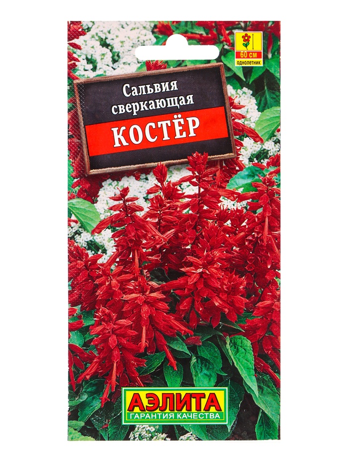 Семена цветов Сальвия Костер , Ц/П,0,1 г - Фото 1