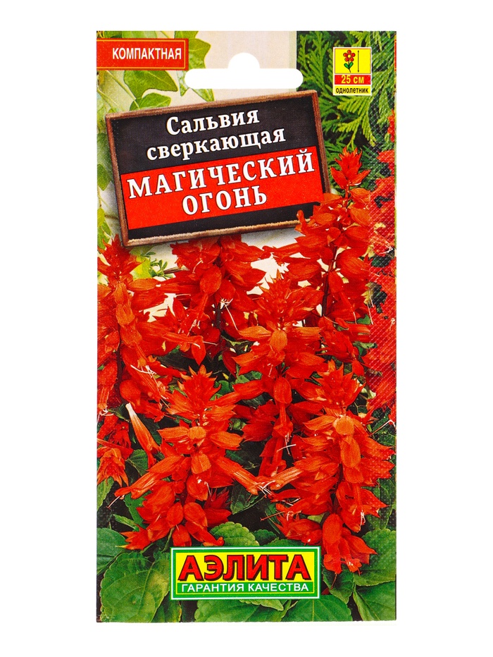 Семена цветов Сальвия Магический огонь , Ц/П,0,1 г - Фото 1