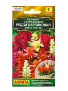 Семена цветов Сальвия Редди карликовая, смесь сортов  С. Hem Genetics Золотая серия, Ц/П,7 шт. 10945 - фото 61952985