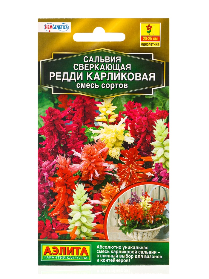 Семена цветов Сальвия Редди карликовая, смесь сортов  С. Hem Genetics Золотая серия, Ц/П,7 шт. 10945 - Фото 1