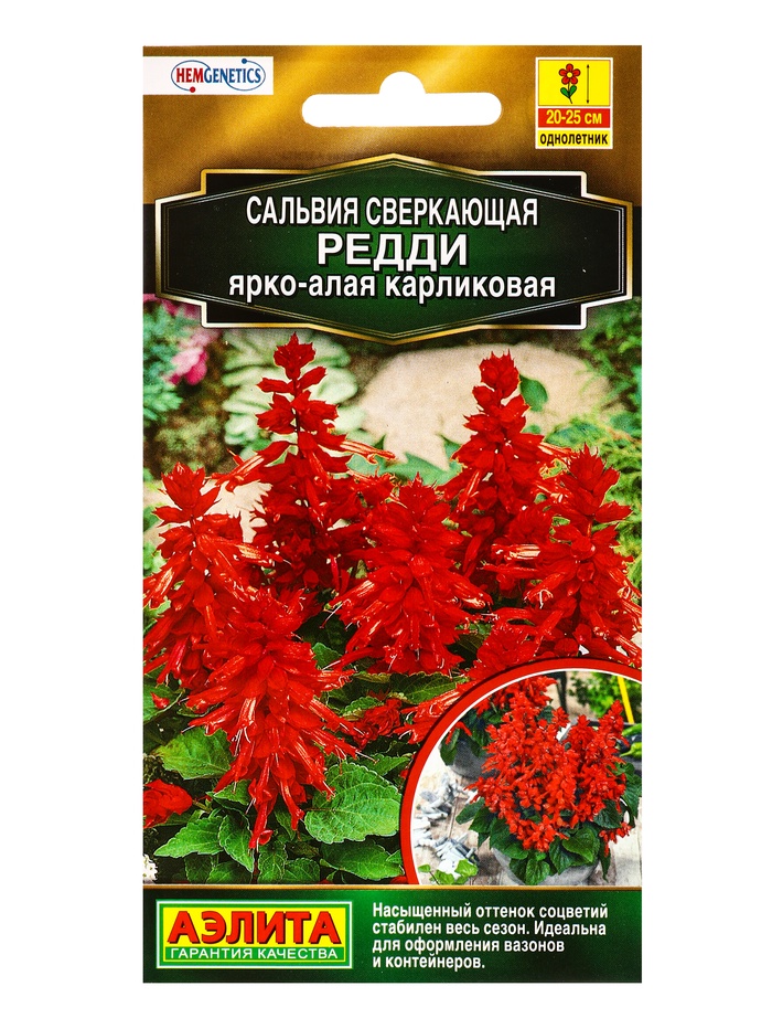Семена цветов Сальвия Редди ярко-алая карликовая  С. Hem Genetics Золотая серия, Ц/П,7 шт. - Фото 1