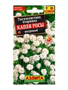 Семена цветов Тысячелистник махровый Капля росы Мн, Ц/П,0,1 г 10945904