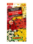 Семена цветов Хризантема корейская Бархатная осень,смесь сортов Мн, Ц/П,0,02 г - фото 61953003