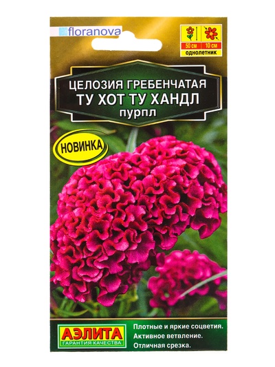 Семена цветов Целозия гребенчатая Ту хот ту хандл пурпл С. Floranova Золотая серия, Ц/П,5 шт. 10945