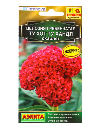 Семена цветов Целозия гребенчатая Ту хот ту хандл скарлет С. Floranova , Ц/П,5 шт.