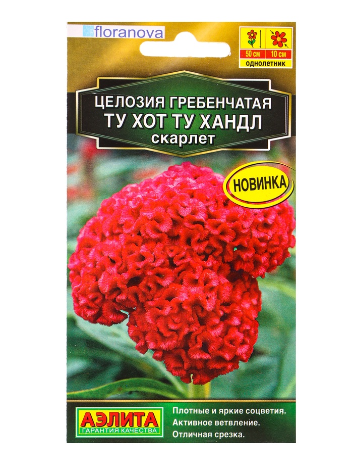 Семена цветов Целозия гребенчатая Ту хот ту хандл скарлет  С. Floranova , Ц/П,5 шт.