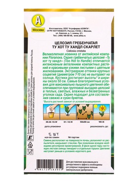 Семена цветов Целозия гребенчатая Ту хот ту хандл скарлет  С. Floranova , Ц/П,5 шт.