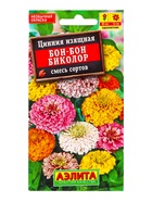 Семена цветов Цинния Бон-бон биколор, смесь сортов , Ц/П,0,3 г - фото 61953029