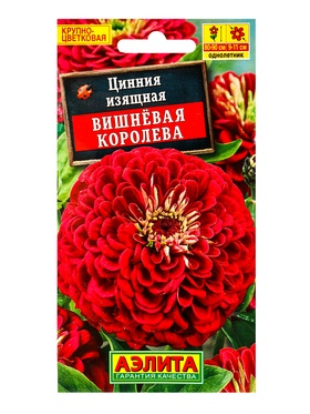 Семена цветов Цинния Вишневая королева , Ц/П,0,3 г