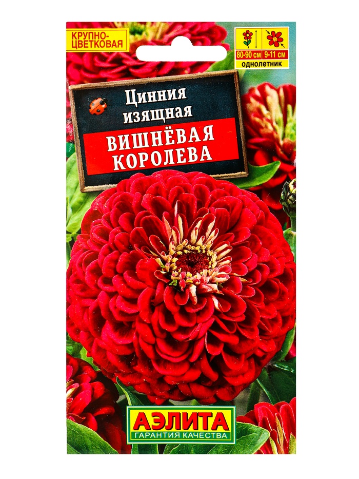 Семена цветов Цинния Вишневая королева , Ц/П,0,3 г - Фото 1