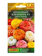 Семена цветов Цинния Клеопатра F1, смесь сортов  Золотая серия, Ц/П,12 шт. - фото 61953037
