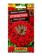 Семена цветов Цинния Крупноцветковая винно-красная , Ц/П,0,3 г - фото 61953041