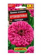 Семена цветов Цинния Крупноцветковая пурпурная , Ц/П,0,3 г - фото 61953049