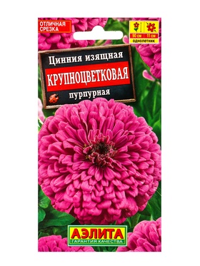 Семена цветов Цинния Крупноцветковая пурпурная , Ц/П,0,3 г (комплект 2 шт)