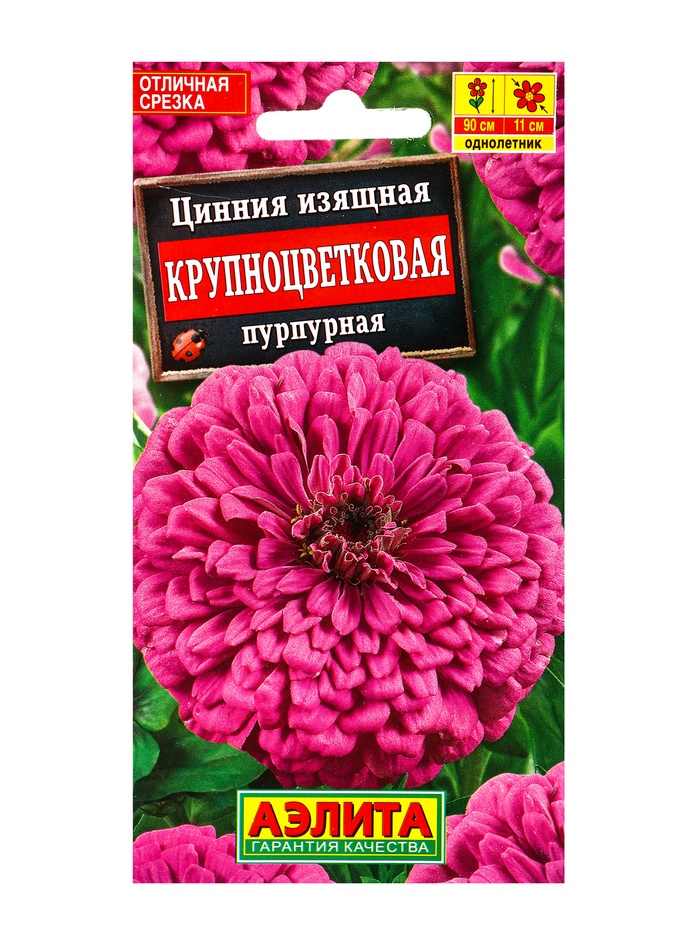 Семена цветов Цинния Крупноцветковая пурпурная , Ц/П,0,3 г - Фото 1