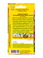 Семена цветов Цинния Крупноцветковая, смесь сортов , Ц/П,0,5 г 10945942