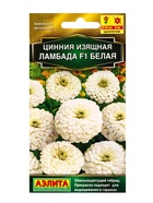 Семена цветов Цинния Ламбада F1 белая  Золотая серия, Ц/П,12 шт. - фото 61953053
