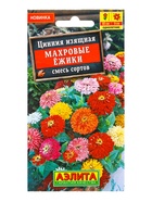 Семена цветов Цинния Махровые ёжики, смесь сортов , Ц/П,0,3 г - фото 61953057