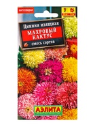 Семена цветов Цинния Махровый кактус, смесь сортов , Ц/П,0,3 г - фото 61953059