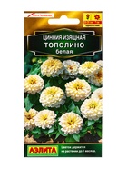 Семена цветов Цинния Тополино белая  Золотая серия, Ц/П,12 шт. - фото 61953067