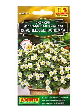 Семена цветов Экзакум (Персидская фиалка) Королева белоснежка  (драже) , Ц/П,4 шт.
