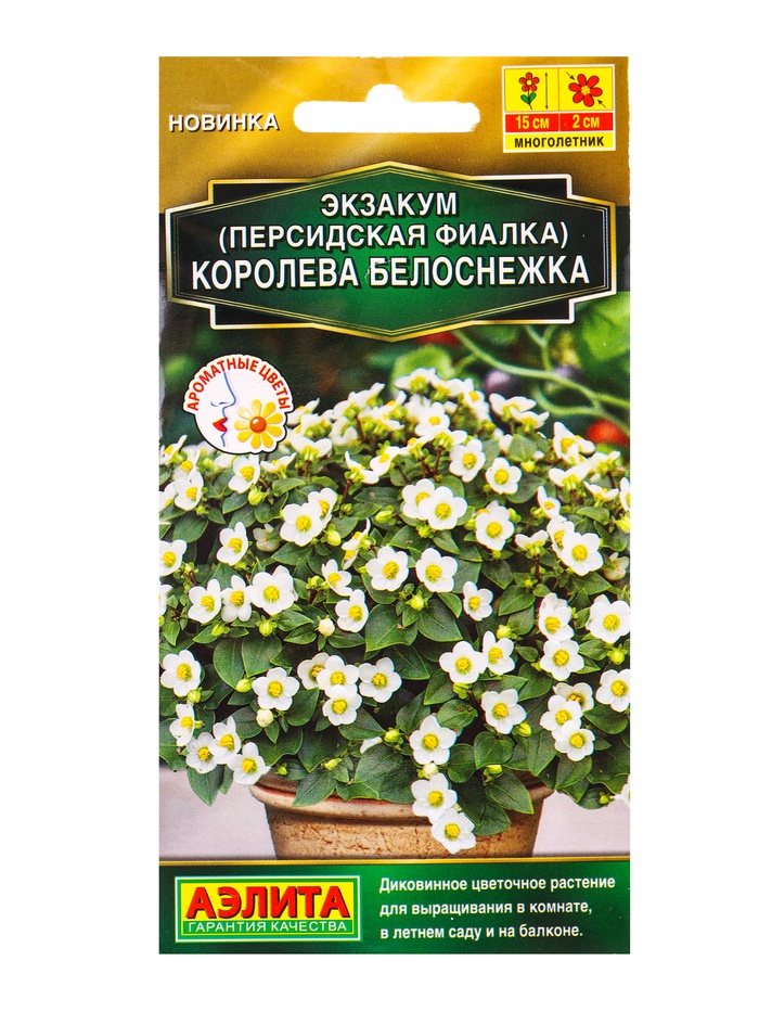 Семена цветов Экзакум (Персидская фиалка) Королева белоснежка  (драже) , Ц/П,4 шт. - Фото 1