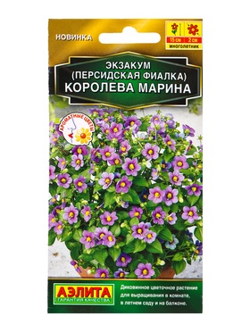 Семена цветов Экзакум (Персидская фиалка) Королева марина  (драже) , Ц/П,4 шт.