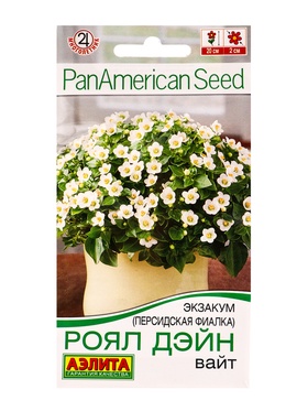 Семена цветов Экзакум (Персидская фиалка) Роял дэйн вайт  (драже)  PanAmerican, Ц/П,4 шт.