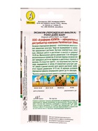 Семена цветов Экзакум (Персидская фиалка) Роял дэйн вайт  (драже)  PanAmerican, Ц/П,4 шт. - фото 61953086