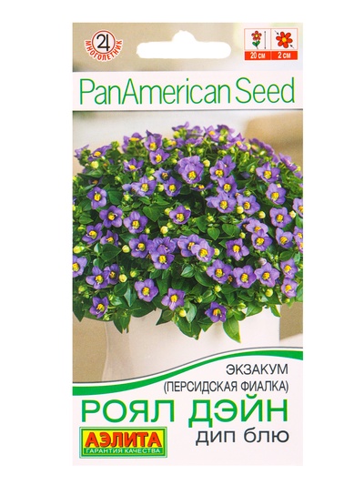 Семена цветов Экзакум (Персидская фиалка) Роял дэйн дип блю (драже) PanAmerican, Ц/П,4 шт. 1094596