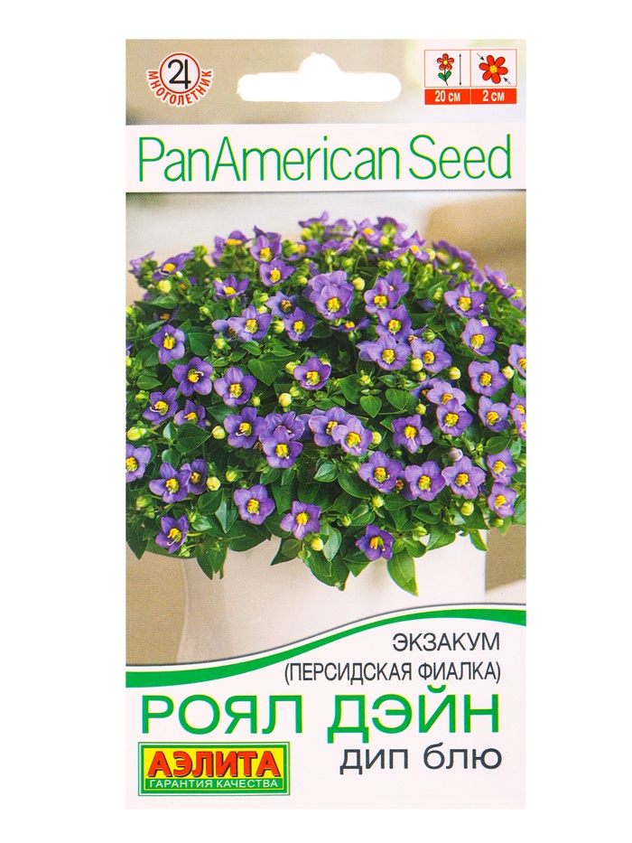 Семена цветов Экзакум (Персидская фиалка) Роял дэйн дип блю  (драже)  PanAmerican, Ц/П,4 шт. 1094596 - Фото 1