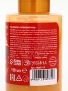 Подарочный набор новогодний в санях: гель для душа 2 шт., соль для ванны и мочалка, URAL LAB - фото 119551745