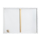 УЦЕНКА Холст на подрамнике хлопок 100% акрил грунт 1,6*60*80 см м/з 280г/м² 10960175