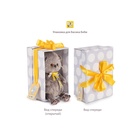 Мягкая игрушка "Кот Басик baby в жилете и шапочке с помпоном", 20 см BB-160 - фото 119359079