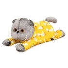 Мягкая игрушка «Кот Басик в комбинезоне с Гусиком», лежачий, 25 см - фото 119359102