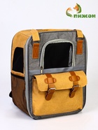 Рюкзак-переноска для кошек и собак, 30×21×41 см, серо-жёлтый - фото 61953307