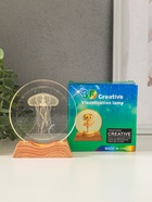 Световая фигурка стекло «Диск. Голограмма: Медуза», 5×LED, d=10 см, USB, 10×4×11.4 см - Фото 6