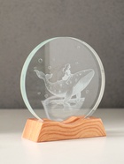 Световая фигурка стекло «Диск. Голограмма: Девочка и кит», 5×LED, d=10 см, USB, 10×4×11.4 см - Фото 3