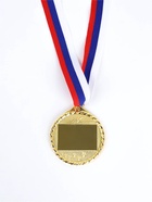 Медаль под нанесение золото 050, d=7 см, с лентой - фото 7628200