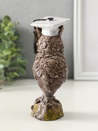 Фигура "Филин ученый", высота 14 см, коричневый - фото 61953757