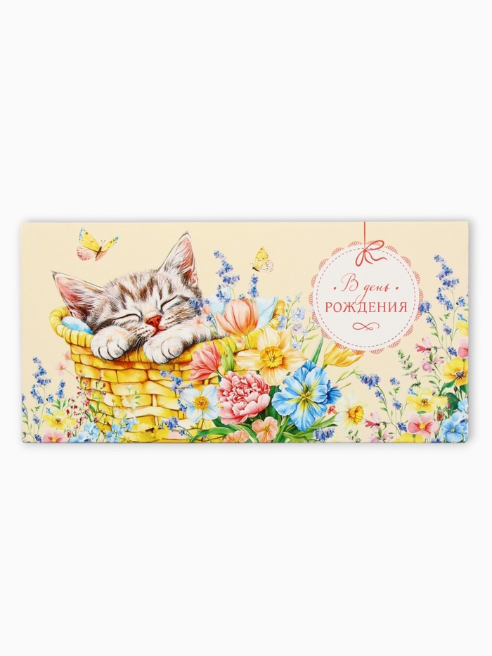 Конверт для денег «В День Рождения», котик спит, 16,5 х 8 см